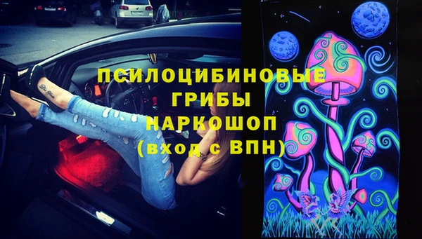 ГАЛЛЮЦИНОГЕННЫЕ ГРИБЫ Болотное