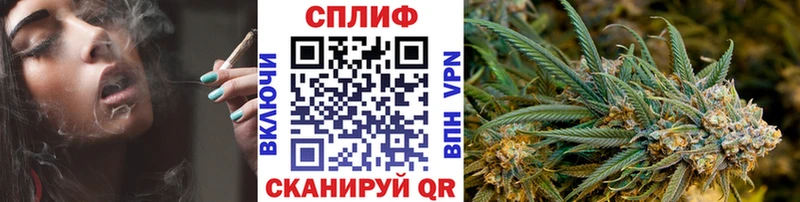 Конопля семена Алзамай